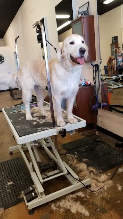 California Groomin'