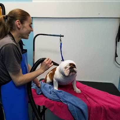 Dirty Dog Day Spa