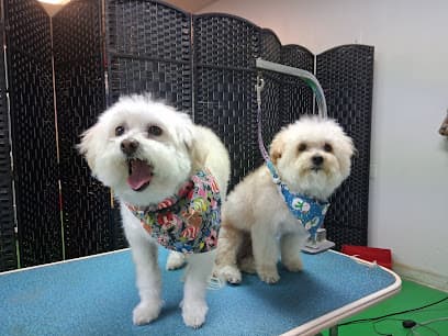 Pet Wishes Spa