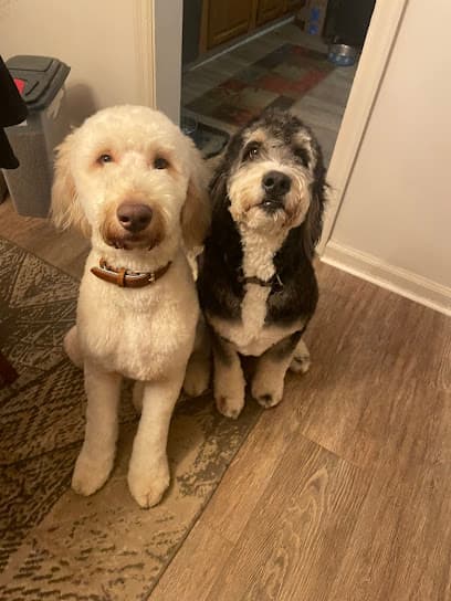 Bow-Wow Boutique Inc