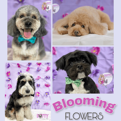 Dotty Pet Grooming Salon