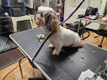 Precious Pets Grooming