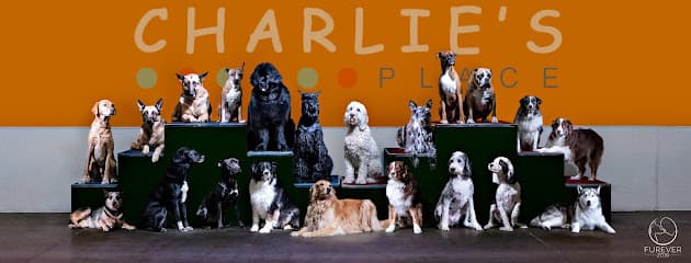 Charlie's Place