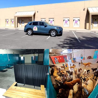 Dirty Dawgs Pet Care Doggy Daycare & Boarding