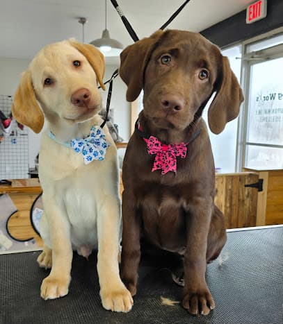 DogWorks LLC