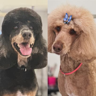 Sadie's Pet Spa
