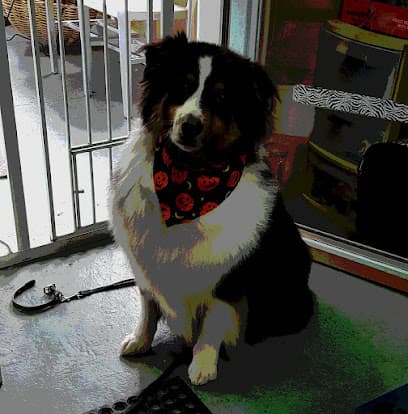 Grateful Dogg