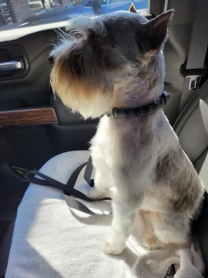 Barkie Bow Wow