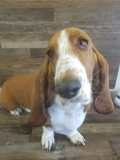 A Country Pet Parlor