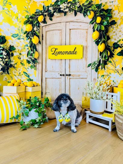 Easy Grooming Pet Solutions LLC