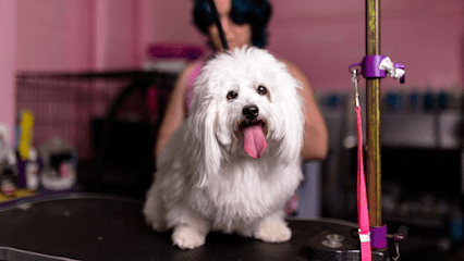 Woof Gang Bakery & Grooming Westlake