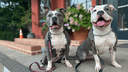 Happy Hearts Pet Care Services