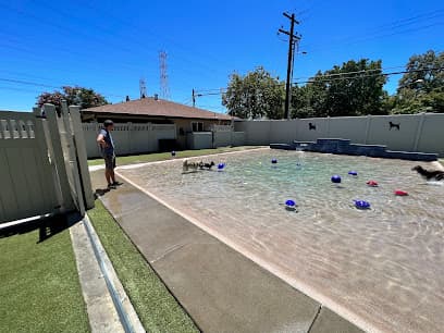 Animal Den