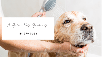 A Green Dog Grooming