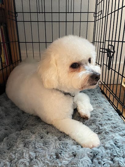 Portland's Pampered Pets