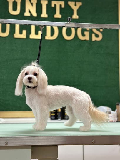 Unity Bulldogs Pet Grooming