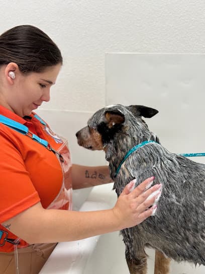 Laundromutt Self-dog wash and spa