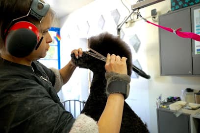 VIP Grooming