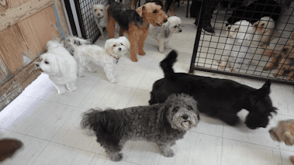 Groomingdales Pet Salon