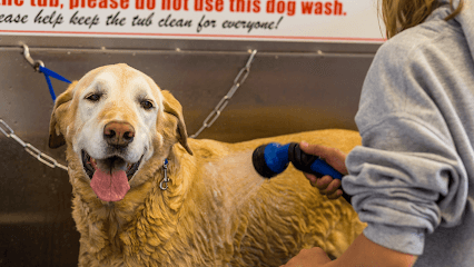 Lucky Dog Car & Pet Wash
