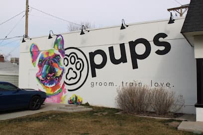 Pups