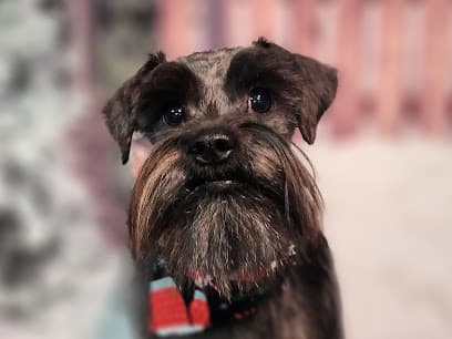 Duke City Dog Spa and Lodge