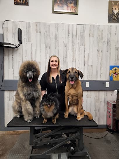 Wash Dog Grooming Salon LLC