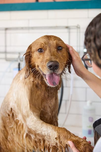 Metro Animals Pet Wash