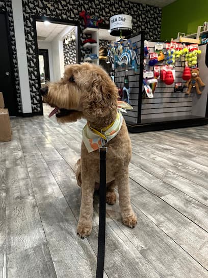 Salon Dog