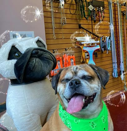 Urban Canine Doggy Day Spa