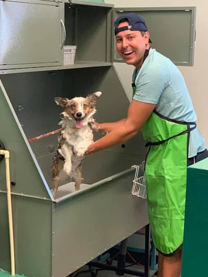 Critter Cleaners