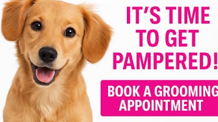 Spoiled Petz Grooming Salons