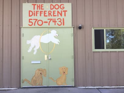 The Dog Different (Grooming by appt)