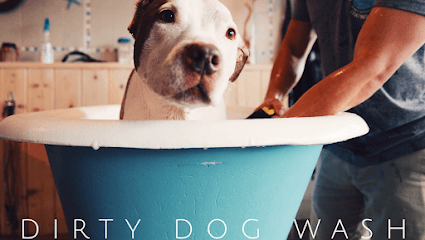 Dirty Dog Wash