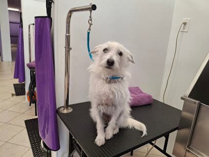 DIY Pet Wash Tucson