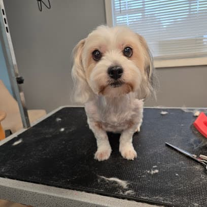 Pup It Up