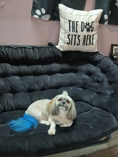Small World OMG, LLC Dog Spa