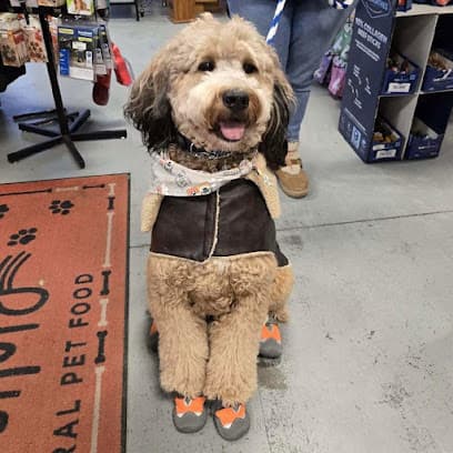 Paw Paradise Spa and Boarding