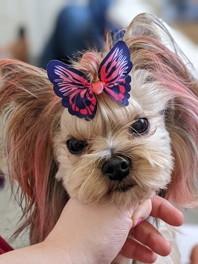 Doggie Right Dog Spa