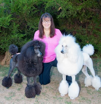 Barking Beauties Dog Spa
