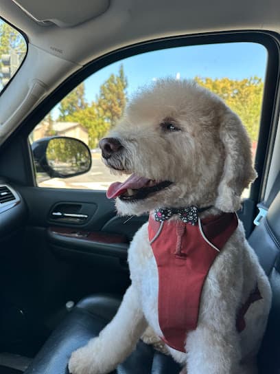 Quality Pet Spot Willow Glen
