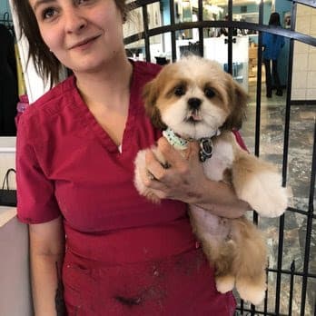 The Dirty Dog Spa