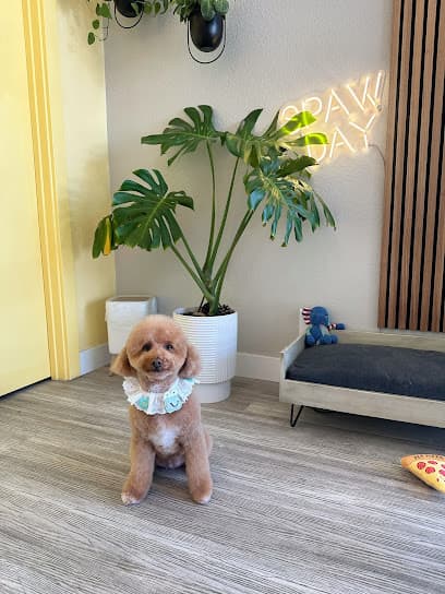 Pawbabies Pet Salon