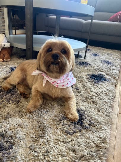 Woof Gang Bakery & Grooming Evergreen