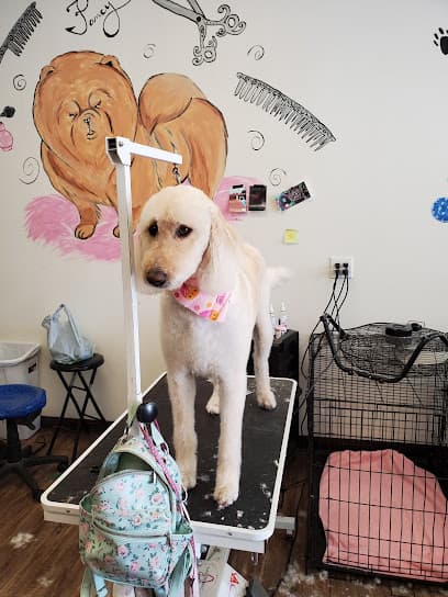 Claws & Paws Grooming