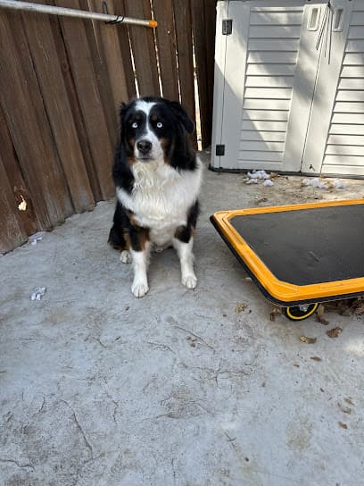 Essential Pet spa