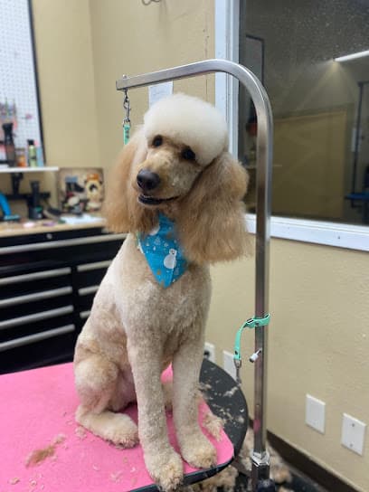 Lucky Dog Pet Retreat & Spa