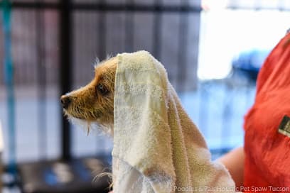 Poodles & Pals Holistic Pet Spaw