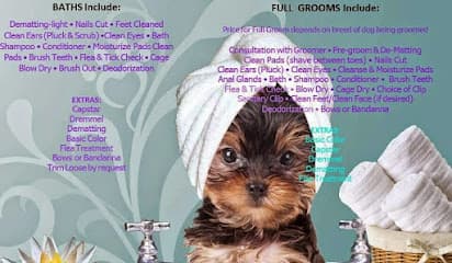 Bloomingtails Pet Salon