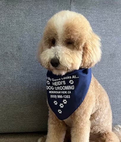 Heidi’s Dog Grooming